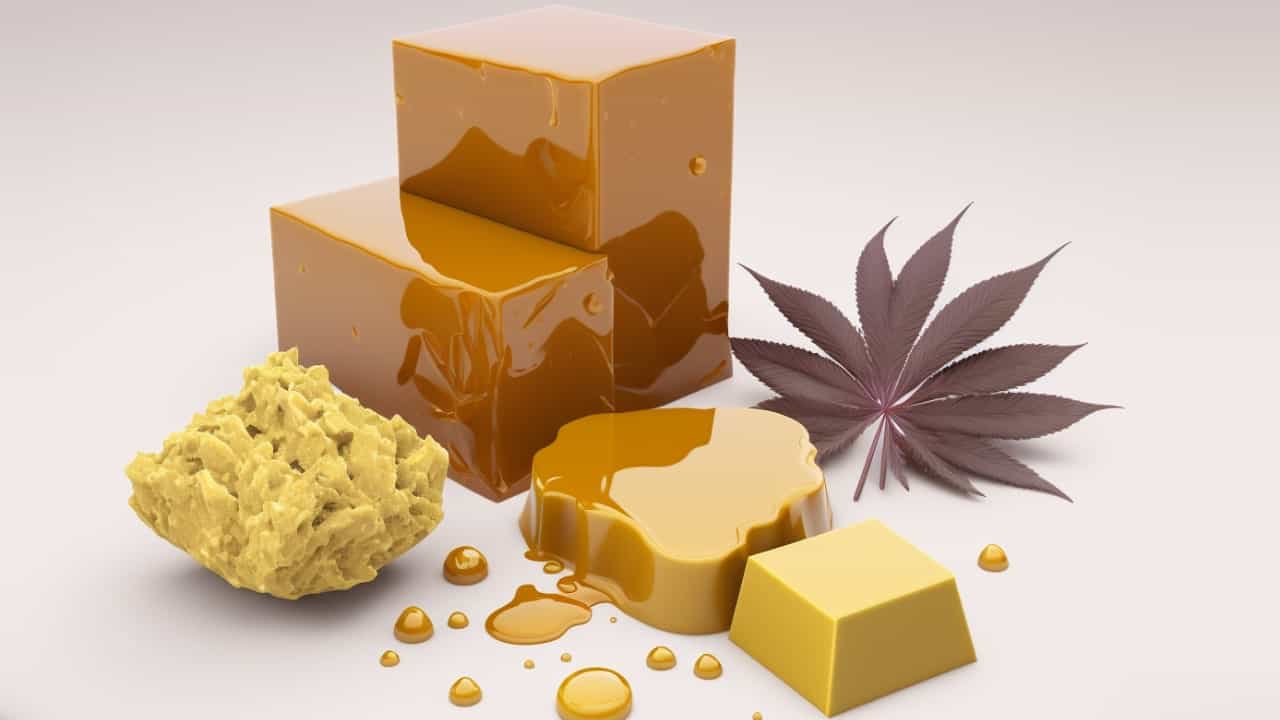 Most common cannabis concentrates