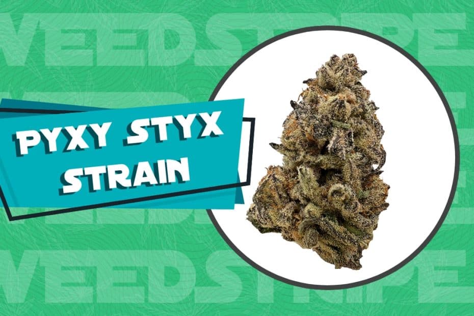 Pyxy Styx strain review and info
