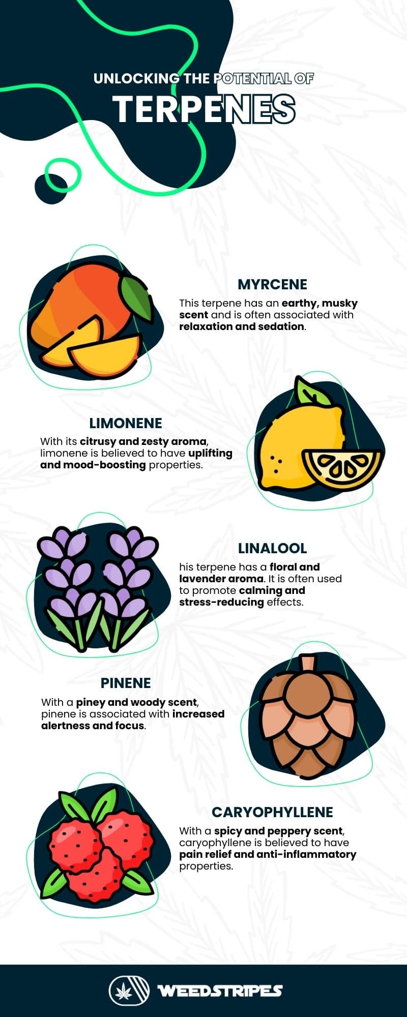 Characteristics of terpenes present in cannabis - Infographic